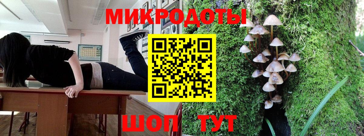 Галлюциногенные грибы мицелий Родники